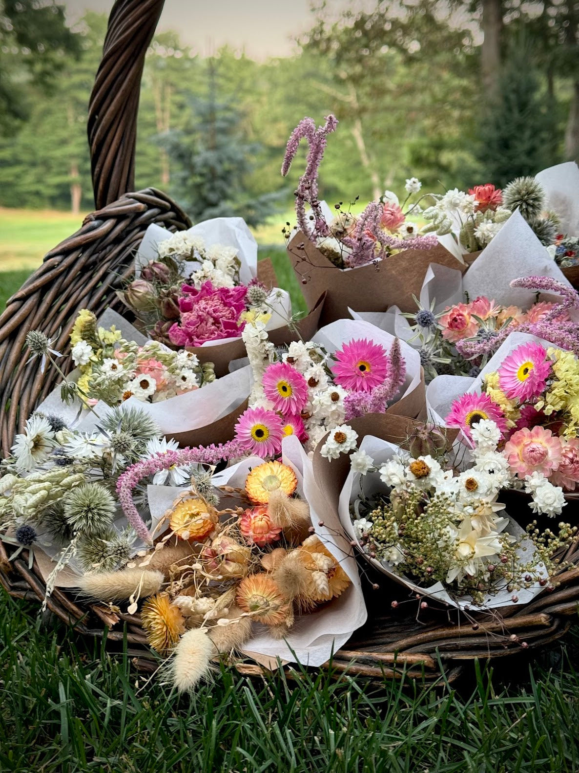 Everlasting Dried Flower Posy
