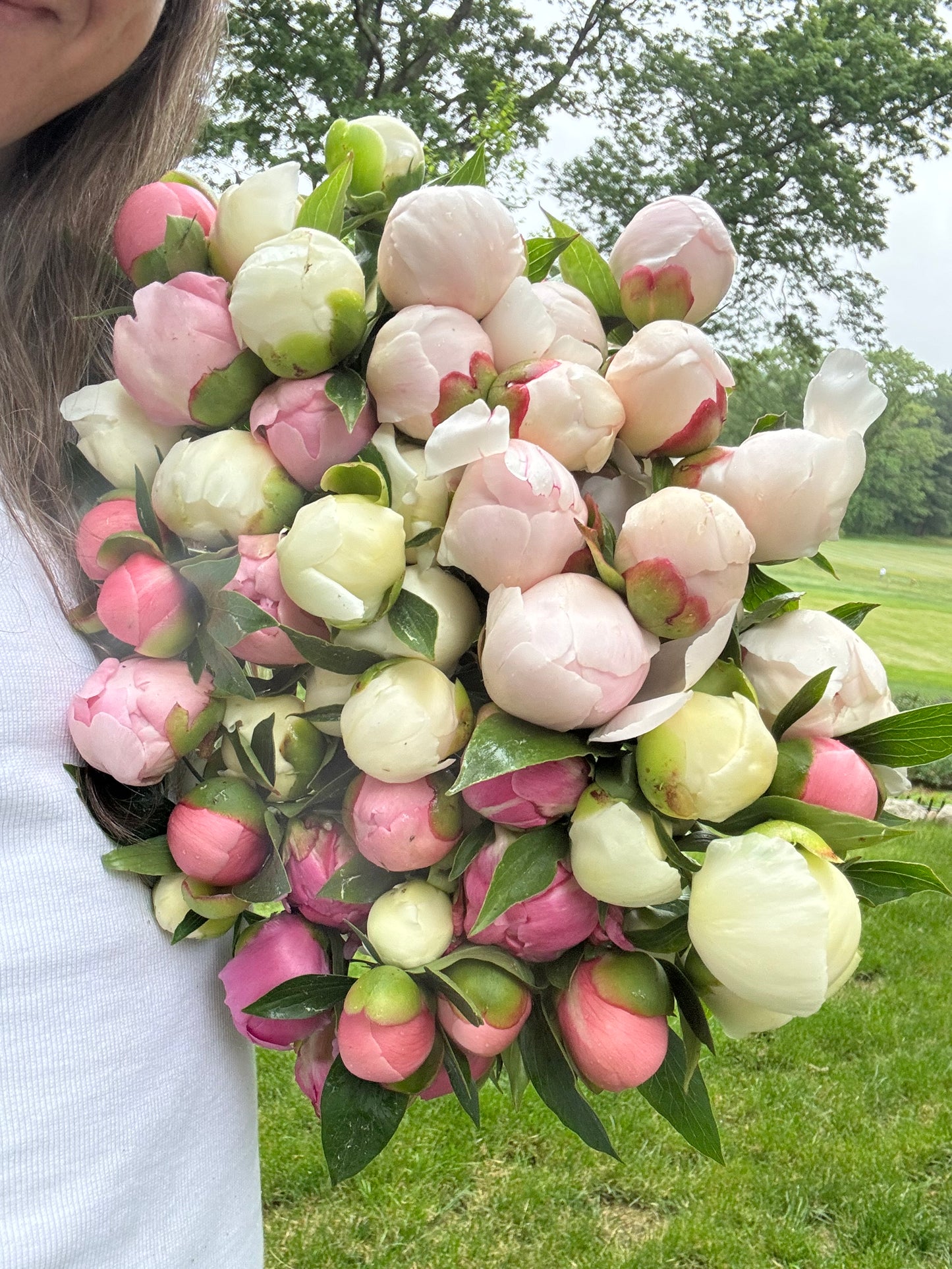 2026 PEONY SHARE - 3 WEEK