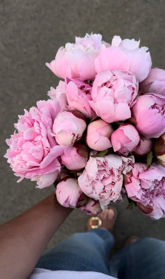 2026 PEONY SHARE - 3 WEEK